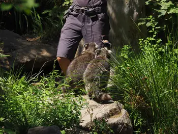 NaturOparC Hunawihr, Alsace (France)